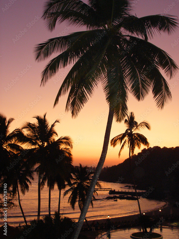 black silhouettes of palm trees, evening view, coast and sunset sky