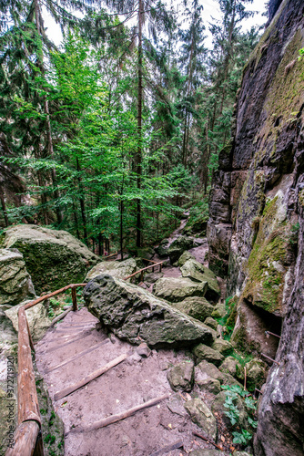 Hiking in Schwedenloecher Valley in Bastei National Park Saxon Switzerland  above the Elbe River in the Elbe Sandstone Mountains  Germany.