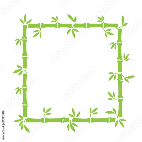 Fototapeta Naklejka Na Ścianę i Meble -  Green bamboo hand drawn border element for card design on white, stock vector illustration