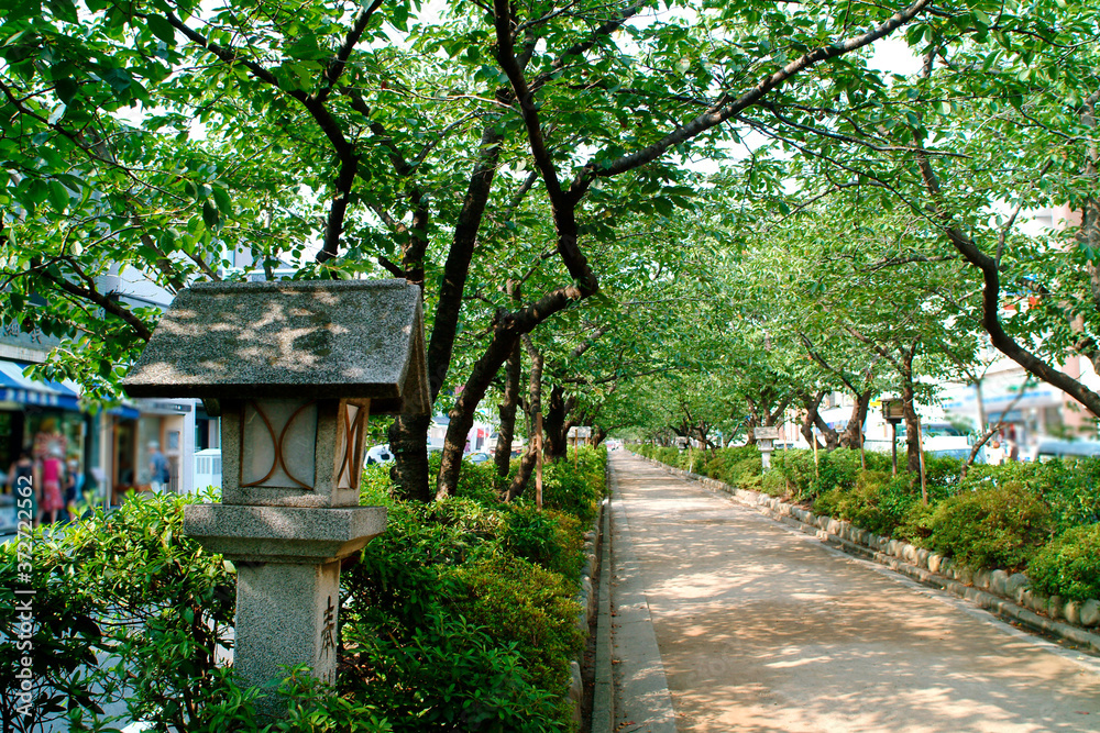 鎌倉の参道