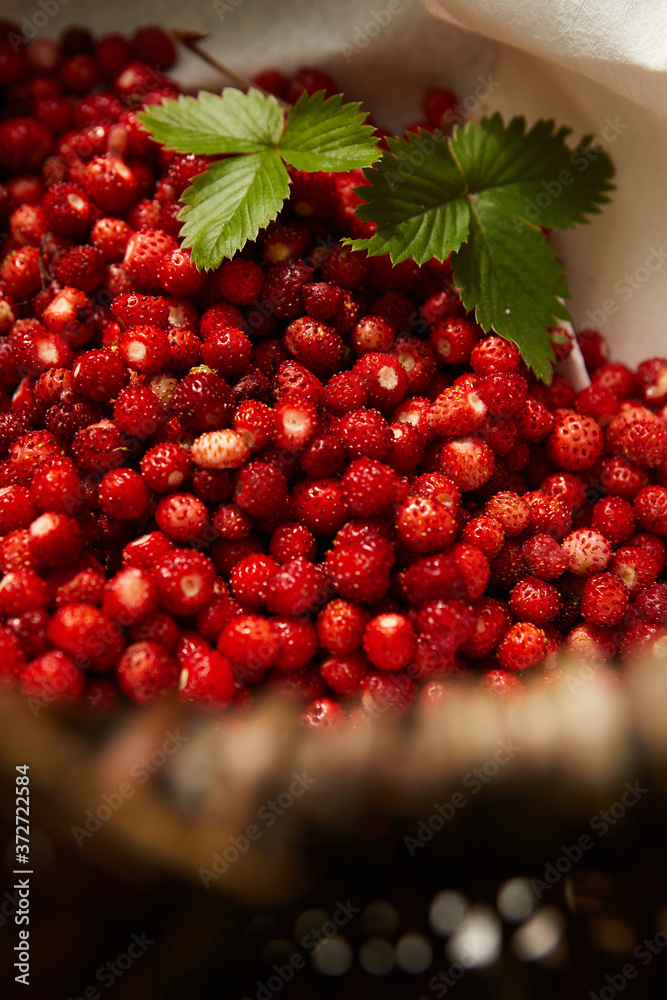 Wild strawberry basket on a natural, green background in the forest.