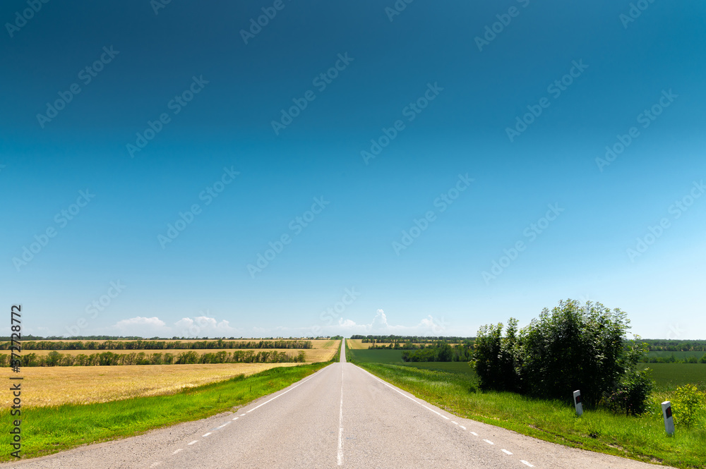 suburban empty road asphalt surrounded by trees and grass. The concept of transportation and travel. Background green grass asphalt and blue sky