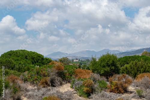 The Artola's Dune, Marbella