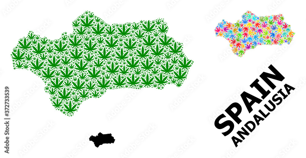 Vector Mosaic Map of Andalusia Province of Psychedelic and Green Marijuana Leaves and Solid Map