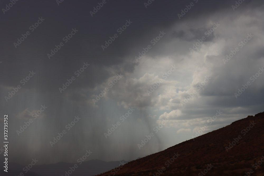 Fototapeta premium Desert rain