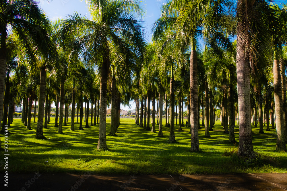 Obraz premium Viajes de ensueño