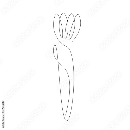 Flower silhouette on white background one line drawing. Vector illustration