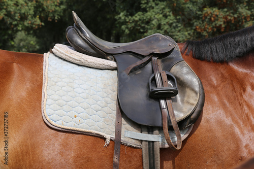 Old leather saddles horse with stirrups on a back of a saddle horse