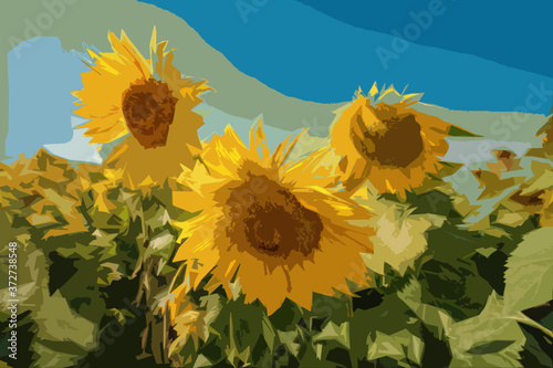 blooming yellow field of sunflowers against the blue sky, summer nature landscape, agricultural field
