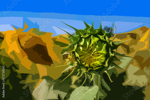 blooming yellow field of sunflowers against the blue sky, summer nature landscape, agricultural field