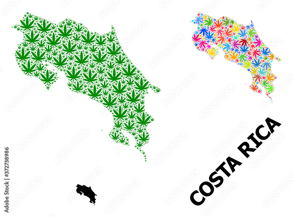 Vector Collage Map of Costa Rica of Psychedelic and Green Weed Leaves and Solid Map