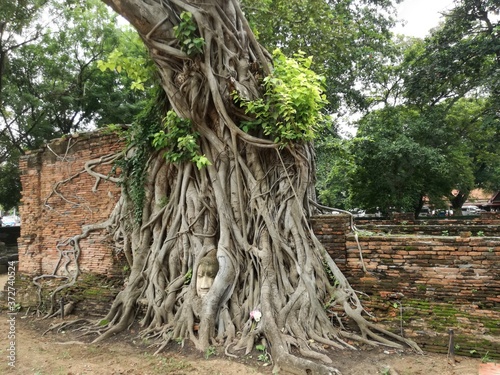 Ayutthaya