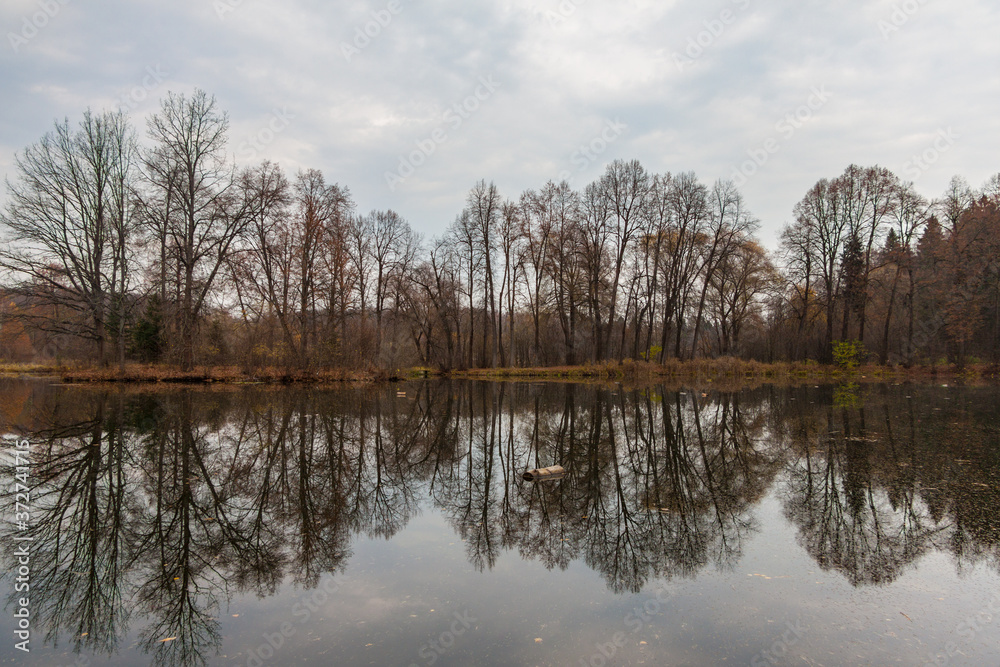 Barsky pond near Serednikovo manor in the suburbs Moscow, sad autumn landscape Barsky pond near Serednikovo manor in the suburbs Moscow, sad autumn landscape