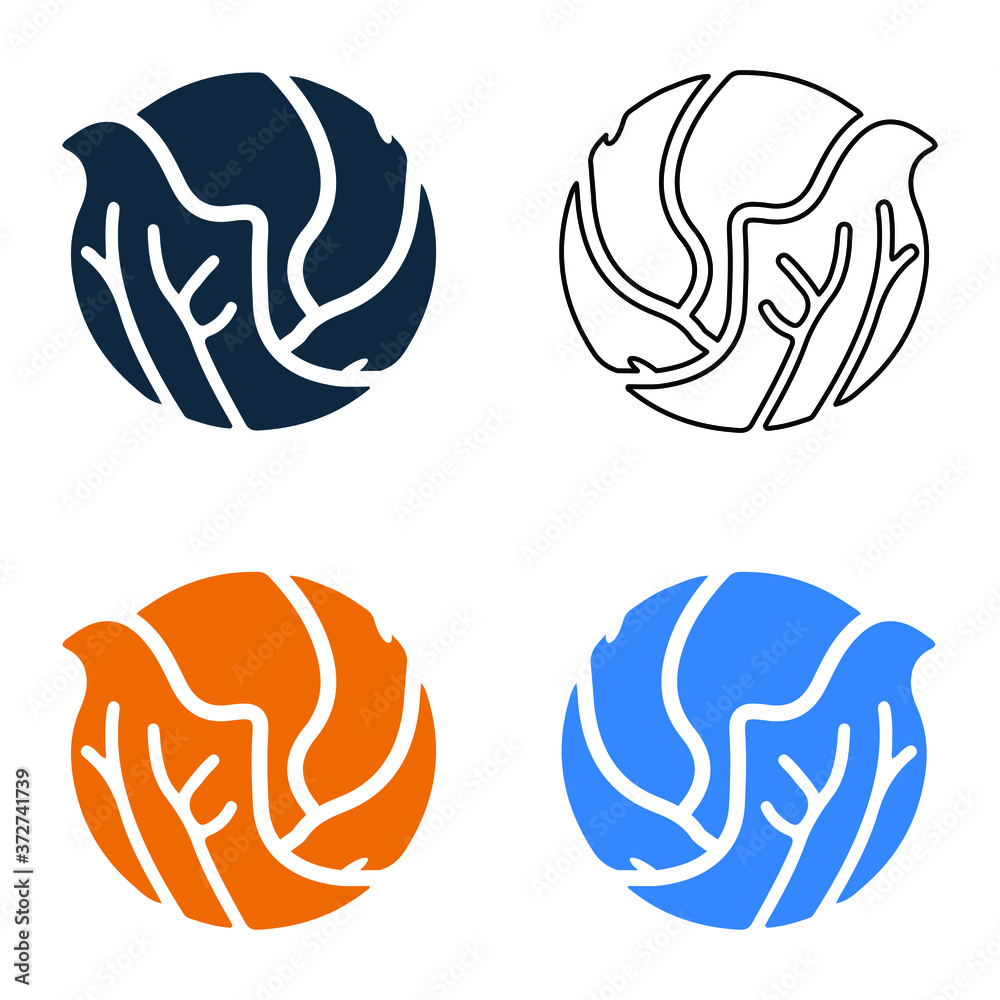 Obraz premium Vegetable, cabbage icon vector design is isolated on a white background for multipurpose use.