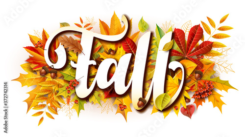 Fall composition with fallen leaves and rowan and acorns
