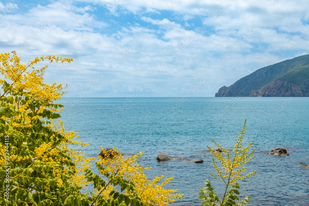 Seascape, southern coast of Crimea, mountains and yellow flowers in the foreground Seascape, southern coast of Crimea, mountains and yellow flowers in the foreground