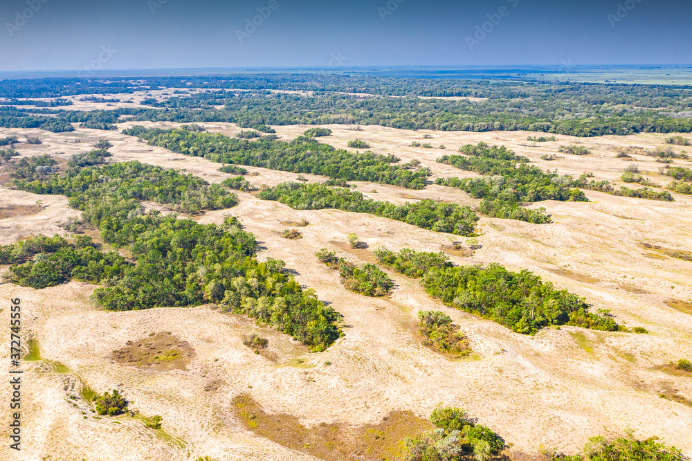 Aerial view over Letea Forest from Danube Delta in Romania during a sunny day