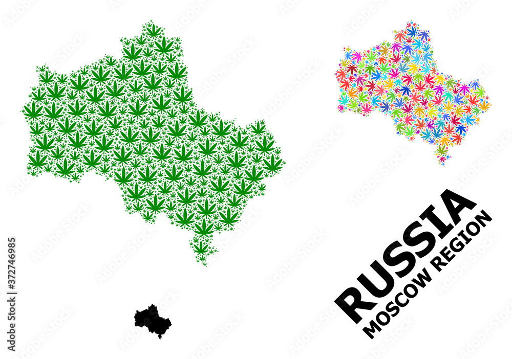 Vector Collage Map of Moscow Region of Psychedelic and Green Hemp Leaves and Solid Map