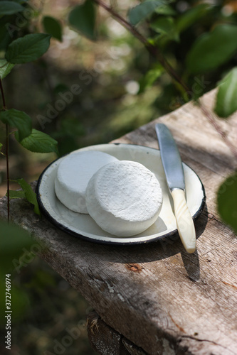 french rustic camembert cheese in a metal plate and an old knife on a wooden table in the garden