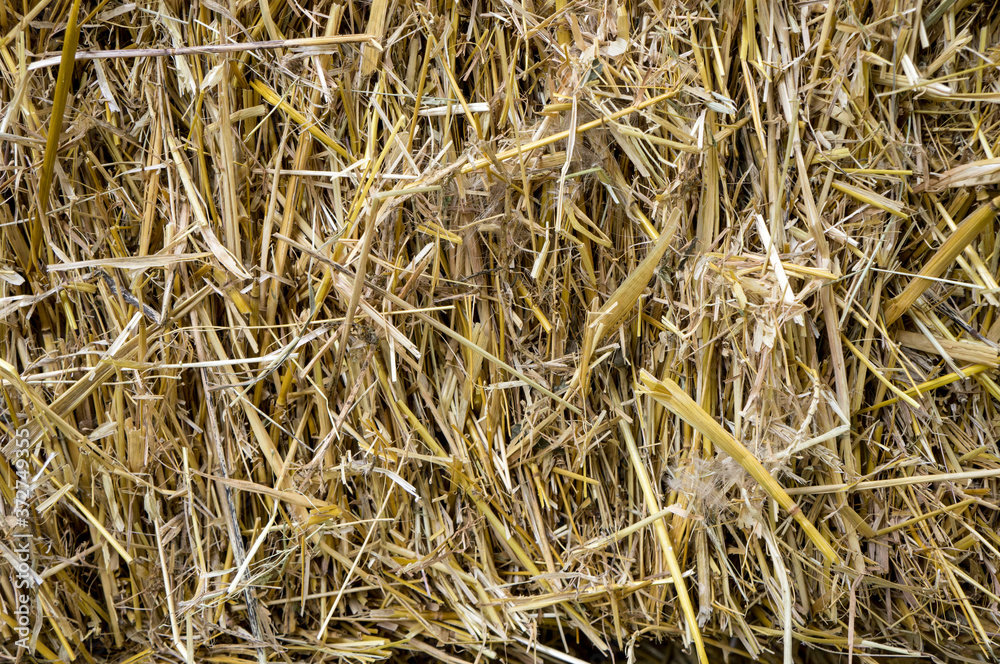 Straw as a natural background