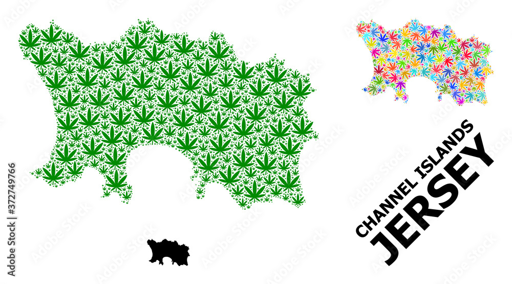 Vector Mosaic Map of Jersey Island of Colorful and Green Hemp Leaves and Solid Map