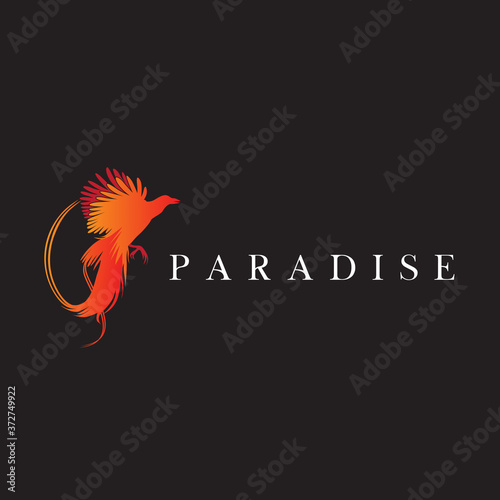 strong, powerful, eye-catching bird of paradise logo design, vector icon illustration inspiration.