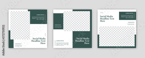Modern Social Media banner template can be edited. Anyone can use this design easily. Promotional web banners for social media. Elegant sale and discount promo - Vector.
