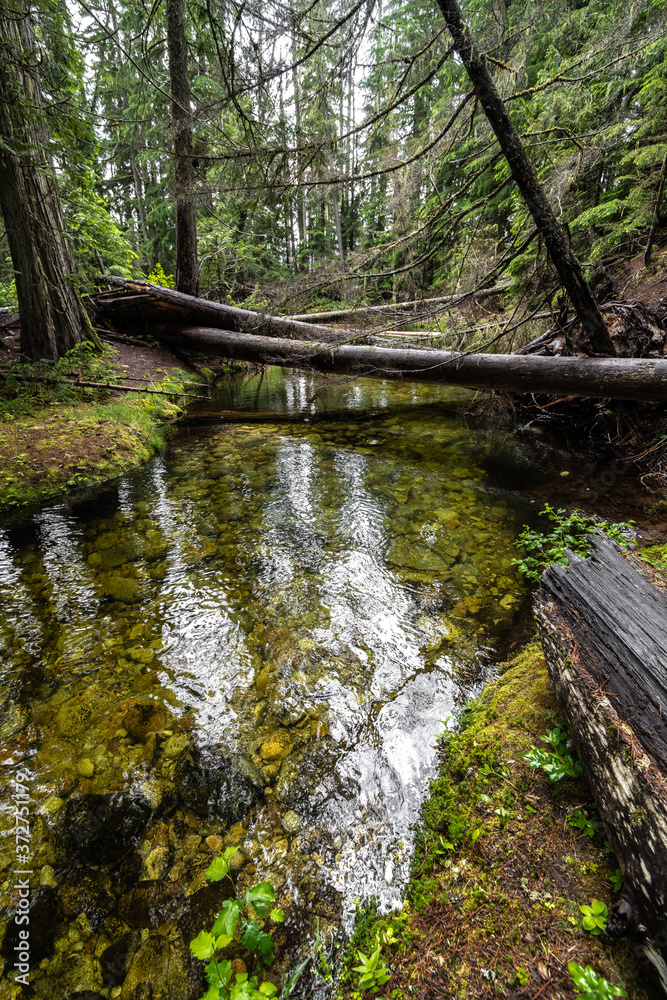 Creek running into Priest Lake State Park, Lionhead Unit, Idaho Creek running into Priest Lake State Park, Lionhead Unit, Idaho