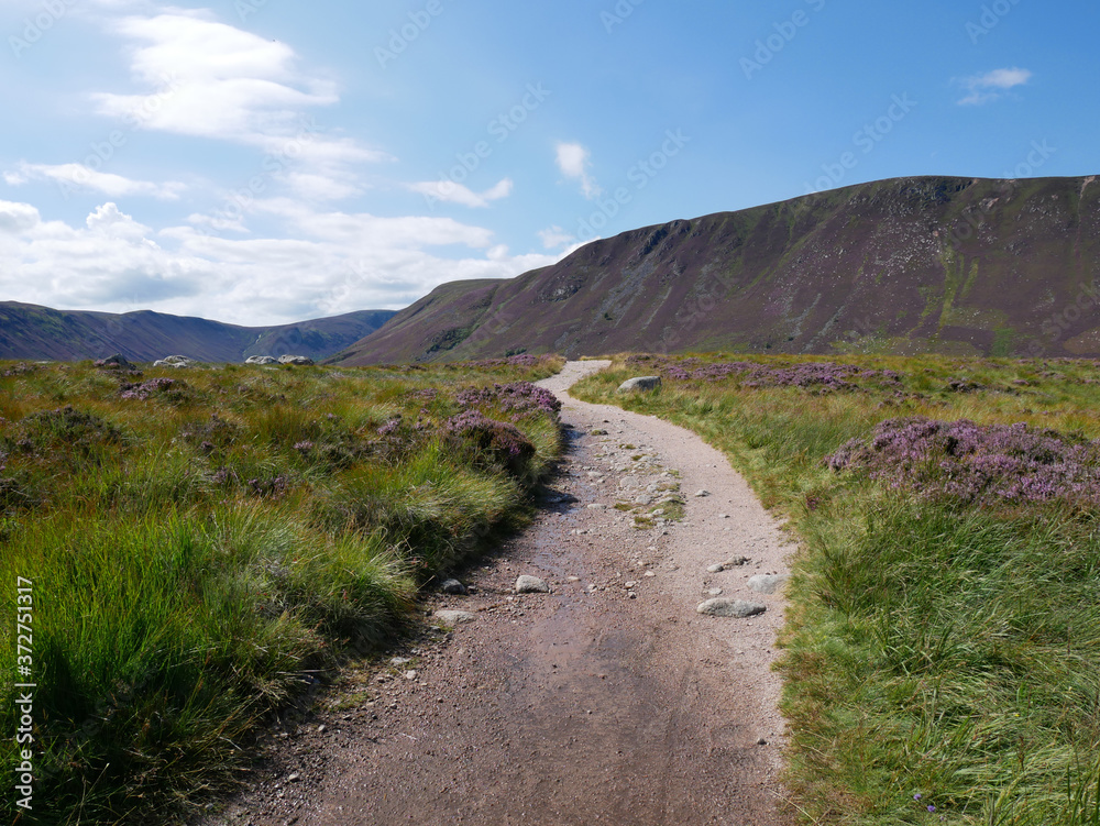 path with green vegetation and  heather alongside, hills at the distance, blue sky with white clouds