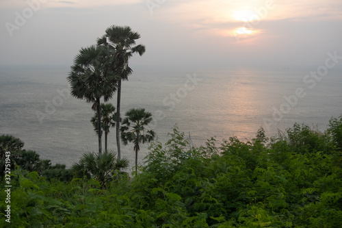 
Sunset over the sea view from the shore. Tree and sunset view. Landscape, greenery, silence, relaxation, rest, tropics, flora, nature