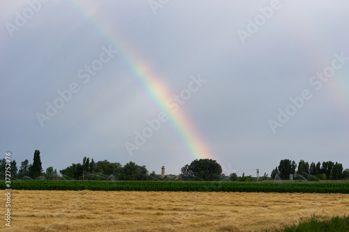 El arcoíris sale en un campo de trigo.