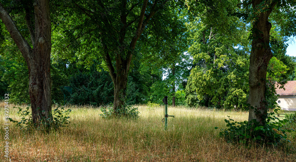 Fototapeta premium Wasserpumpe im Wald
