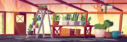 Glass greenhouse with plants, trees and flowers. Vector cartoon interior of empty hot house for cultivation and growing garden plants in pots. Botanical nursery for greenery