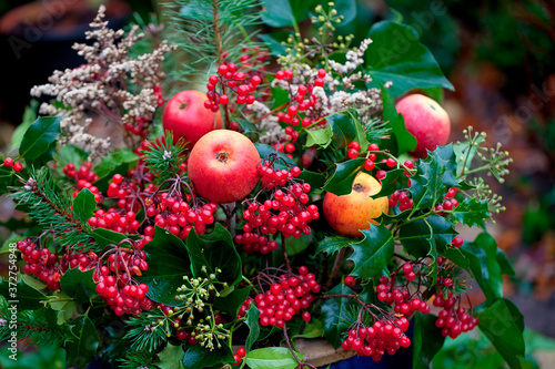 Winterly Decoration With Ilex And Apples