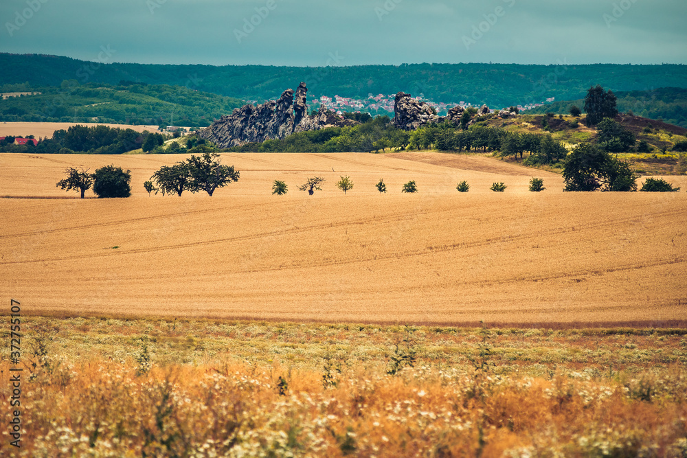 Obraz premium Teufelsmauer bei Weddersleben