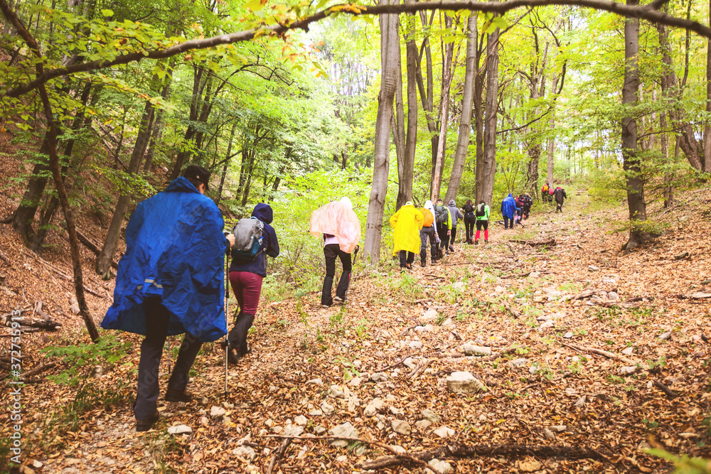 Rearview of unrecognizable people hiking on a rainy day in nature Rearview of unrecognizable people hiking on a rainy day in nature