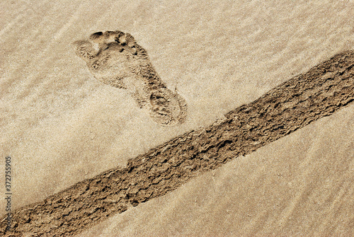 footprint on sand. shot at Alibag in Maharashtra on 10 feb 2015 photo