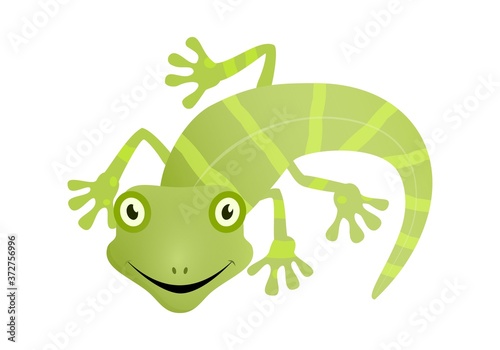 Lizard green gecko happy face vector illustration.