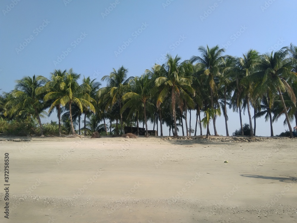 Tropical Beach with Coconut Trees Tropical Beach with Coconut Trees