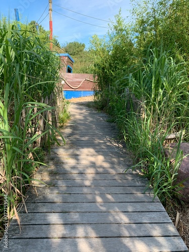 wooden bridge in the garden