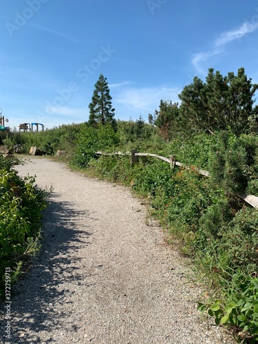 road in the countryside