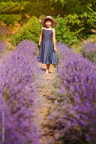 Vertical portrait of happy cute little girl wearing blue dress and white hat and walking in lavender field with violet flowers around in sunny summer day. Summer in Provence. Child in lavender