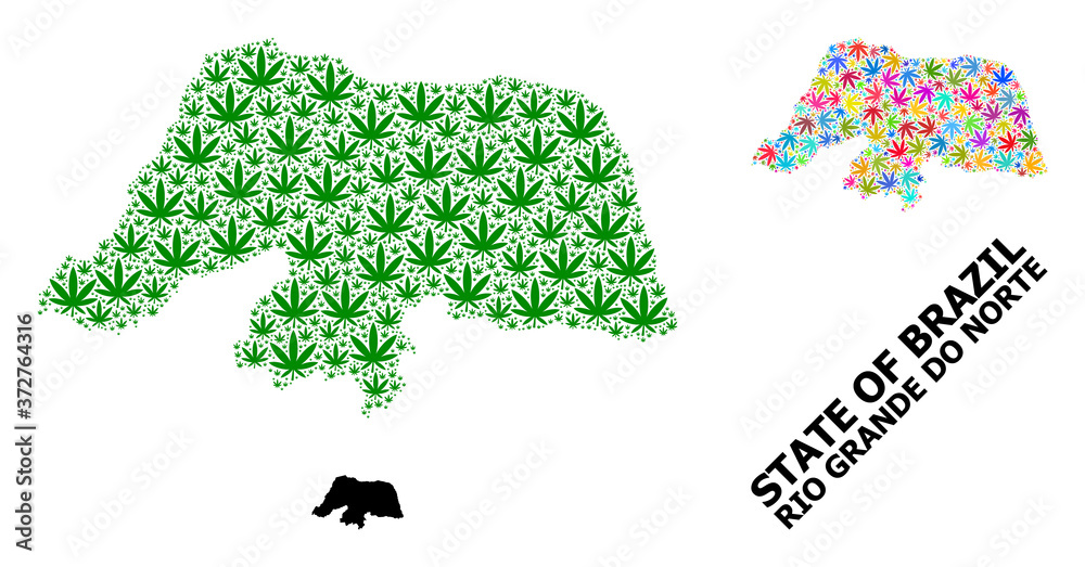 Vector Collage Map of Rio Grande Do Norte State of Bright and Green Cannabis Leaves and Solid Map Vector Collage Map of Rio Grande Do Norte State of Bright and Green Cannabis Leaves and Solid Map