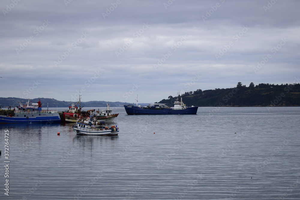 Fototapeta premium 1