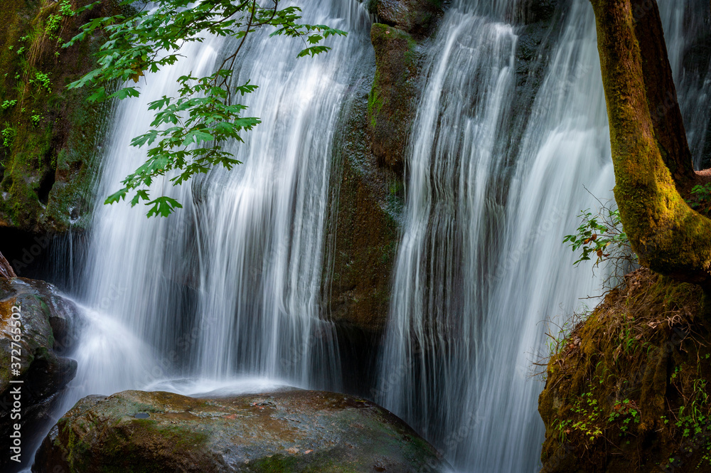 Closeup View of a Cascading Waterfall in the Pacific Northwest. Whatcom Falls, located in Bellingham, Washington, is a beautiful waterfall that is popular with both locals and tourists alike. Closeup View of a Cascading Waterfall in the Pacific Northwest. Whatcom Falls, located in Bellingham, Washington, is a beautiful waterfall that is popular with both locals and tourists alike.