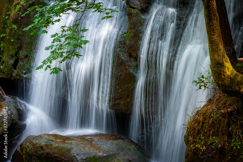 Closeup View of a Cascading Waterfall in the Pacific Northwest. Whatcom Falls  located in Bellingham  Washington  is a beautiful waterfall that is popular with both locals and tourists alike.