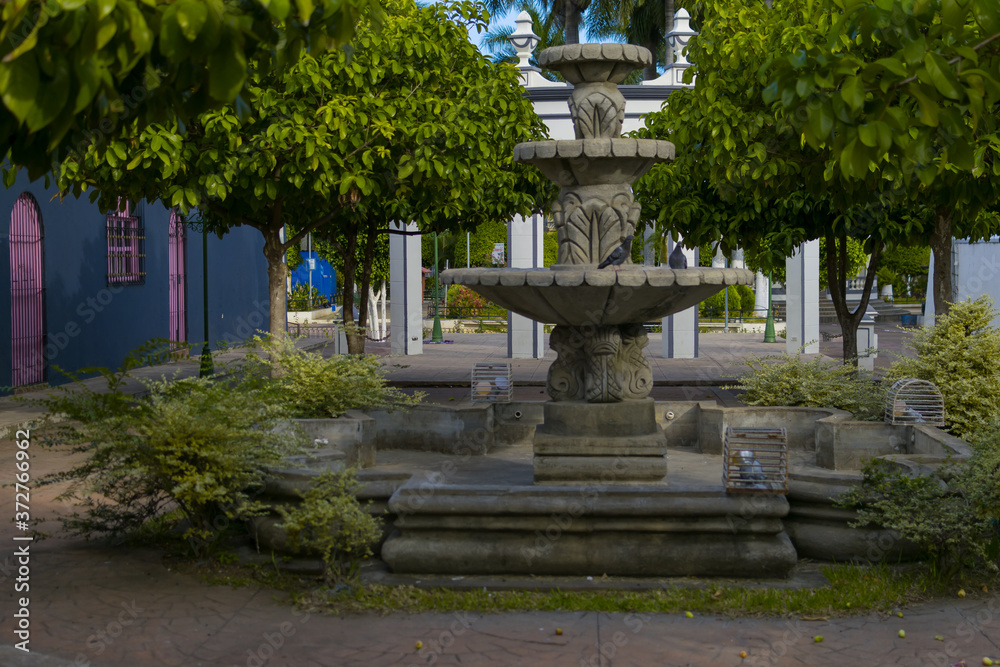 pigeon looking for water in a fountain abandoned pigeon looking for water in a fountain abandoned