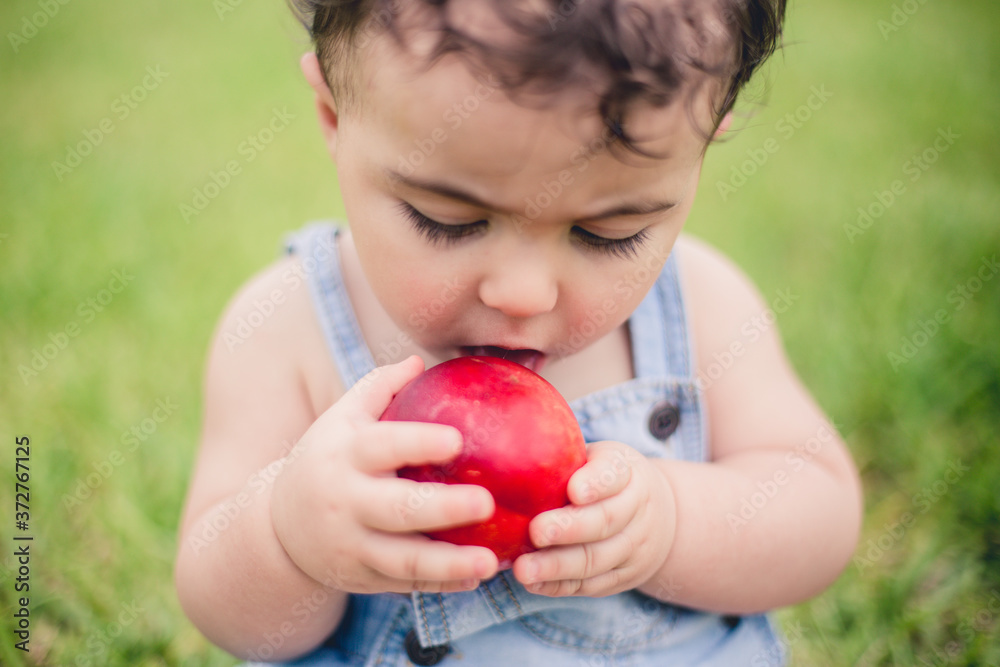 Baby eating a apple or peach outside in the backyard of his home in the grass wearing his overalls Baby eating a apple or peach outside in the backyard of his home in the grass wearing his overalls