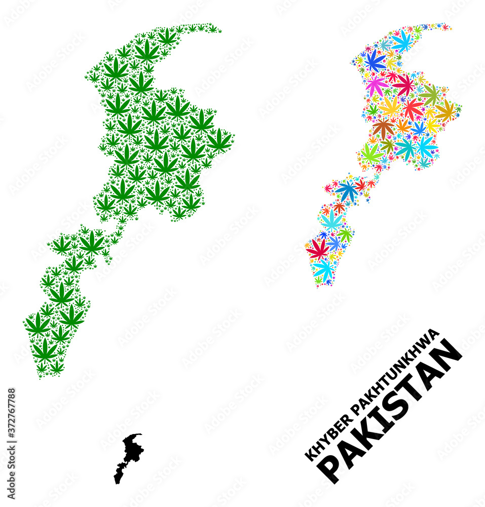 Vector Collage Map of Khyber Pakhtunkhwa Province of Psychedelic and Green Cannabis Leaves and Solid Map