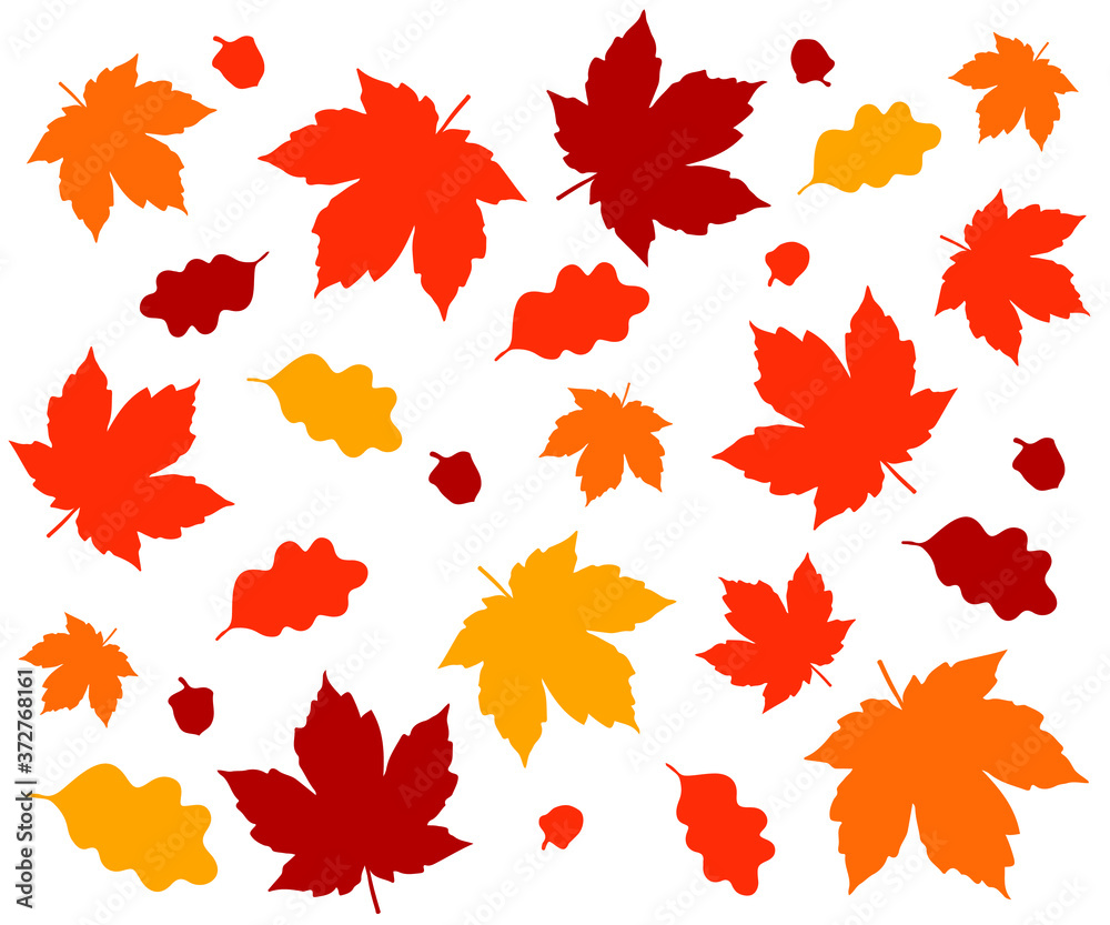 Autumn leaves vector pattern on white background Autumn leaves vector pattern on white background